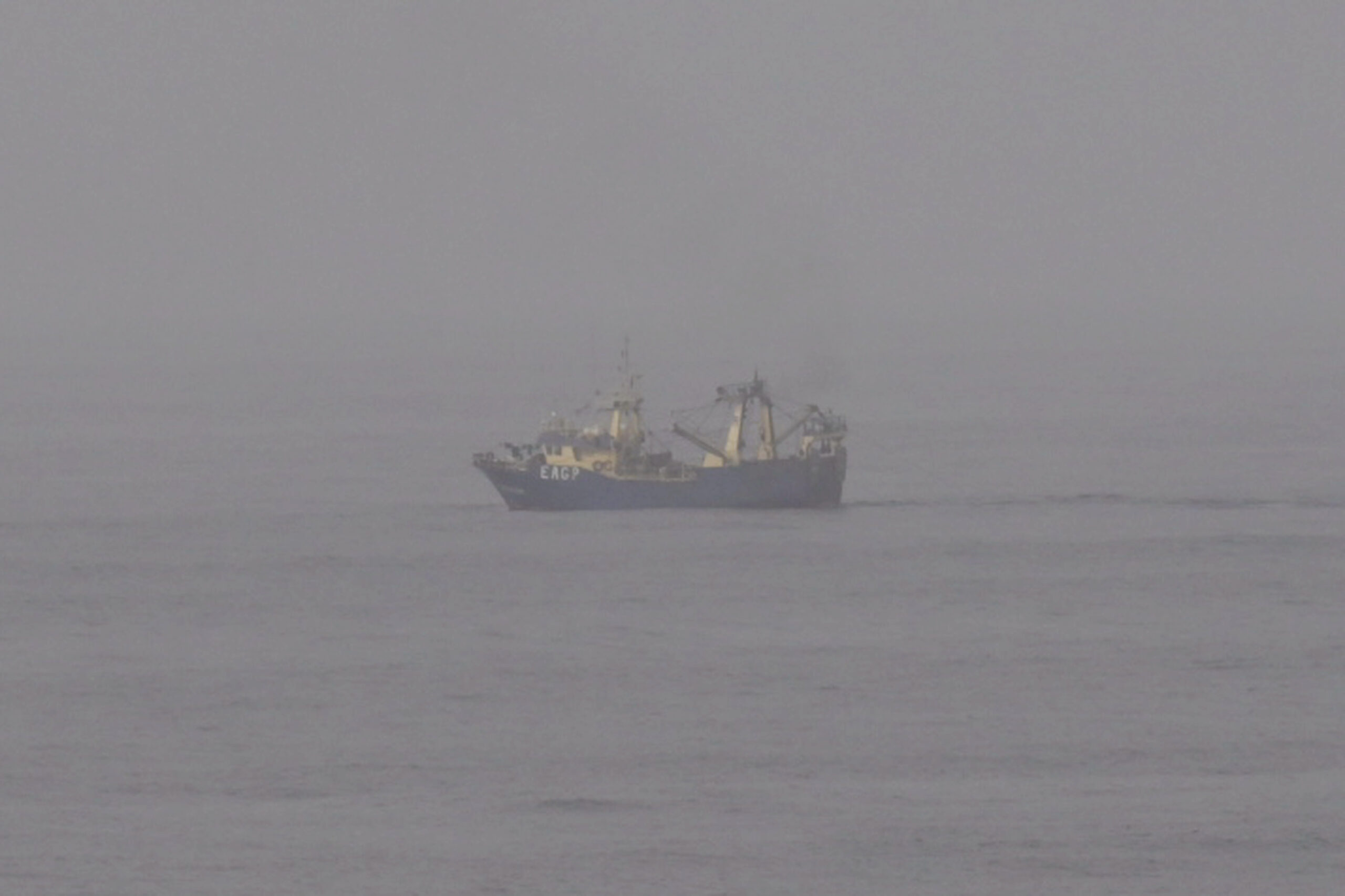Pirates?