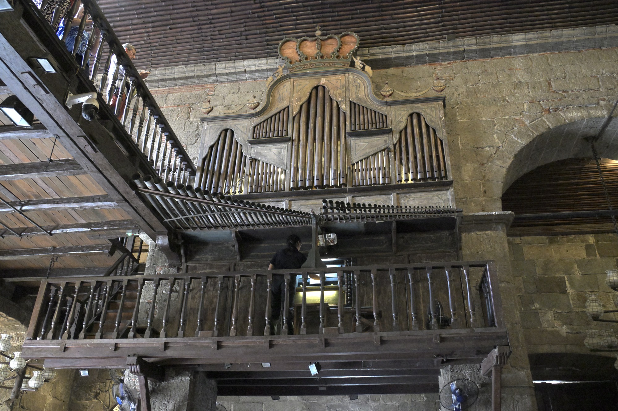 Bamboo Has Many Uses