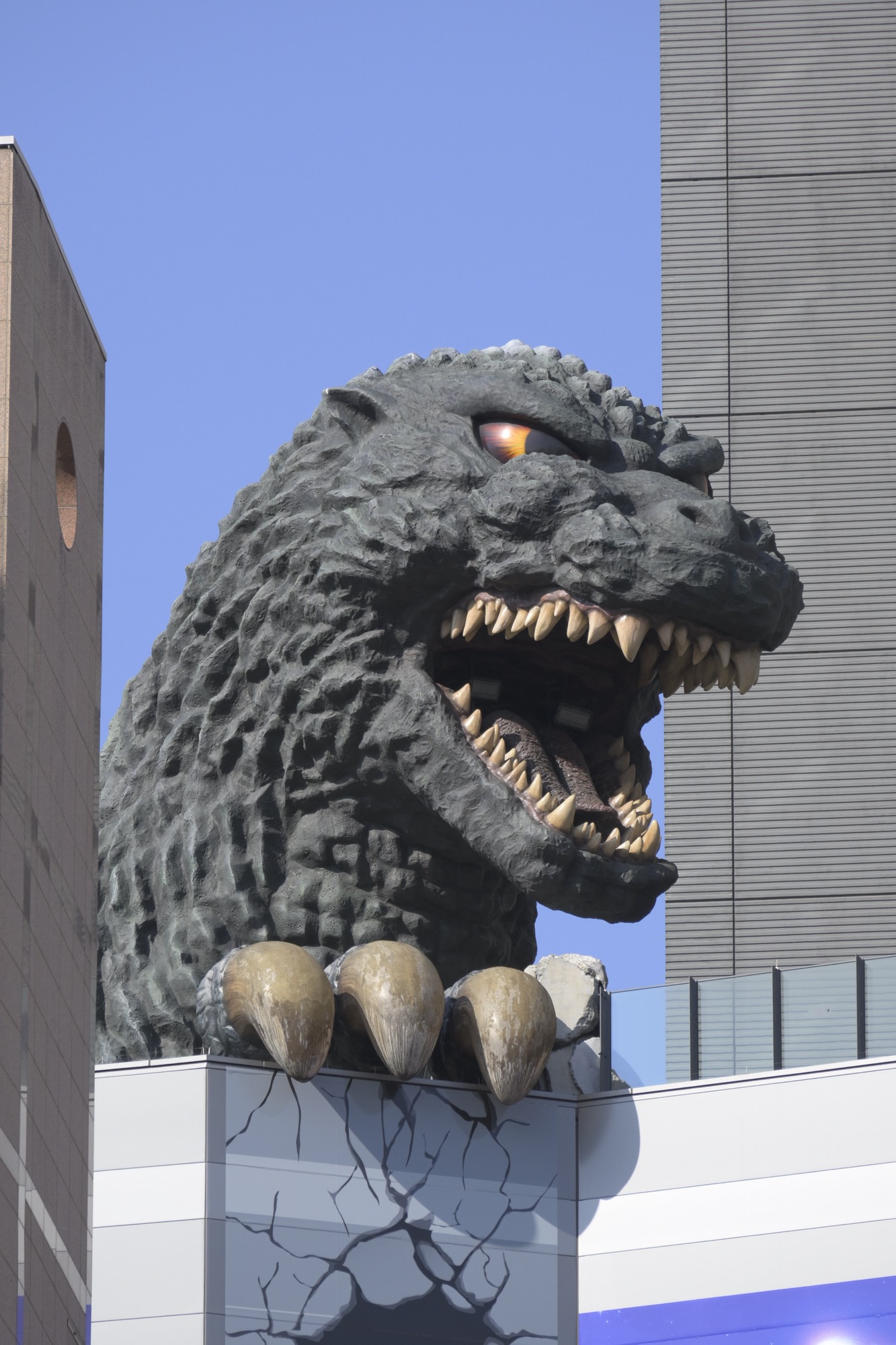 Japan’s Protector