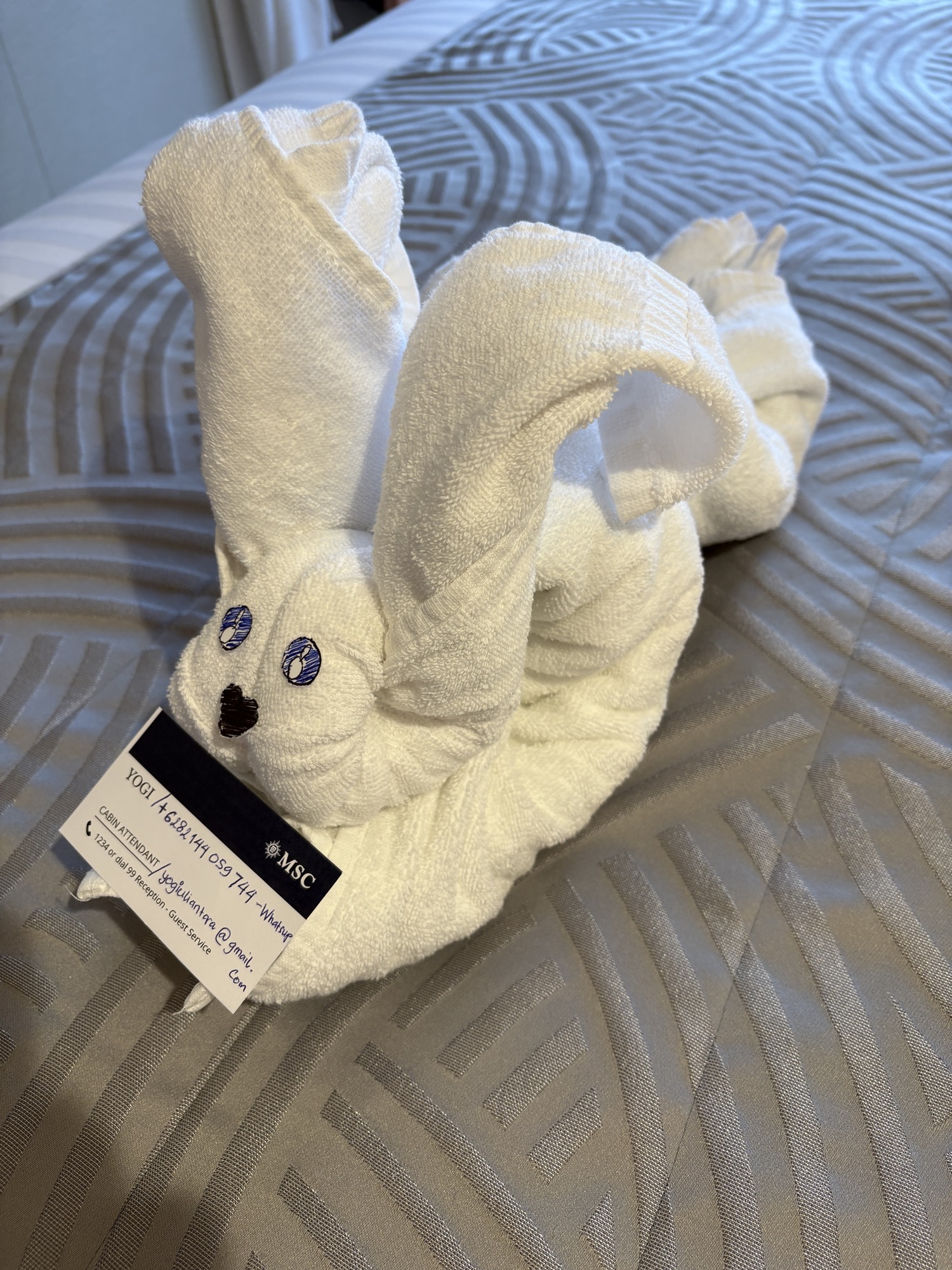 A Special Rabbit